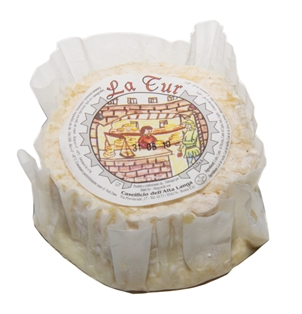 Refrigerator Staples